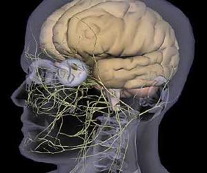Implante neural funcionar como bluetooth do crebro
