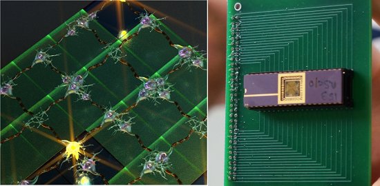 Chip neural de memristores