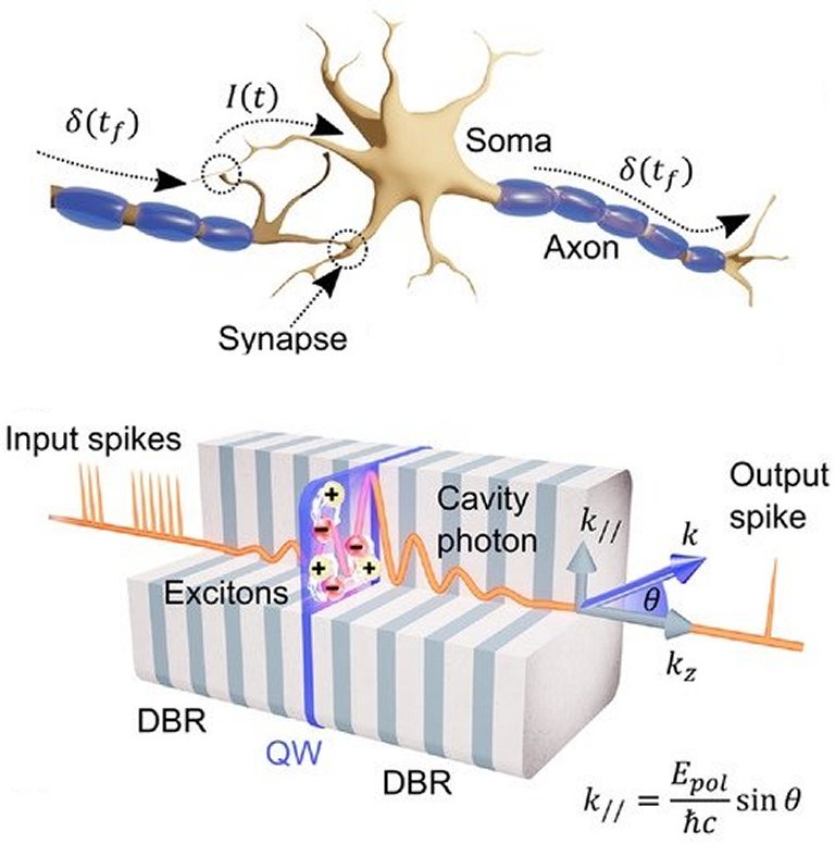 Neurnio de luz promete crebro artificial fotnico