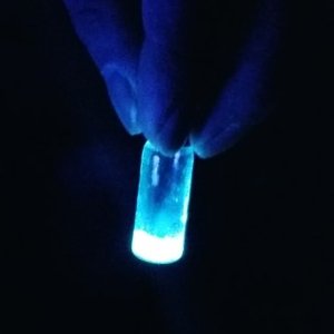 LEDs orgnicos so fabricados com resduos alimentares