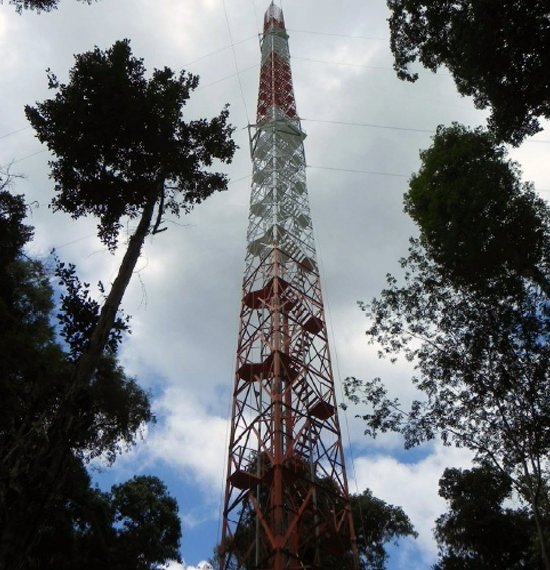Torre de 325 metros vai sentir o clima da Amaznia