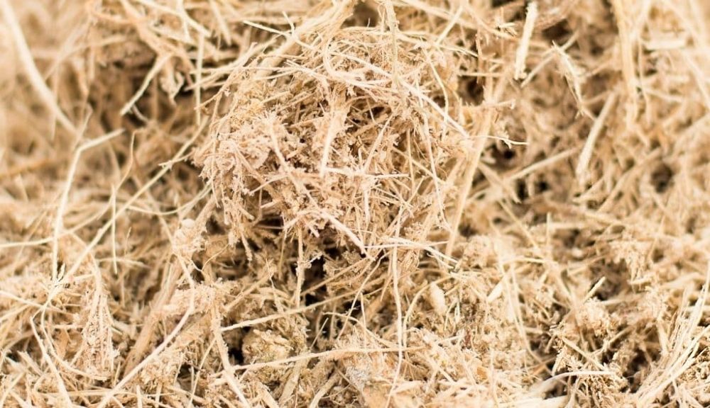Filtro de bagao de cana consegue eliminar agrotxico de gua contaminada por glifosato