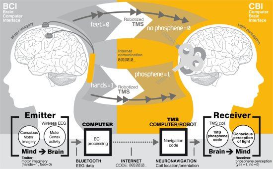 Comunicao binria crebro a crebro feita pela internet