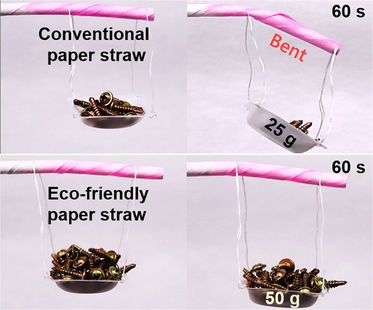 Criados canudos de papel 100% biodegradveis que no encharcam