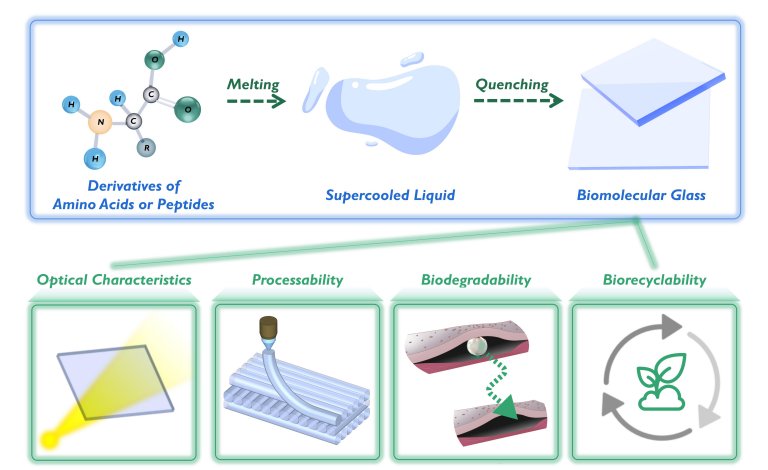 Criado um vidro biodegradvel e biocompatvel
