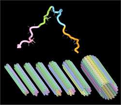 Nanotubos de DNA serviro como moldes e dutos em nanomquinas
