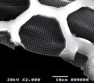 Unicamp desenvolve nanopeneiras de polmeros para uso biomdico