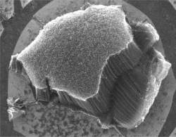 Hbrido de nanotubo e grafeno cria material 