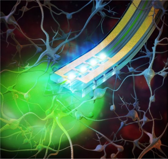 A nanotecnologia que controla o crebro com luz