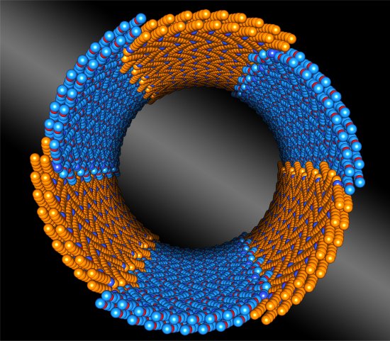 Nanotubos perfeitos, inspirados na natureza