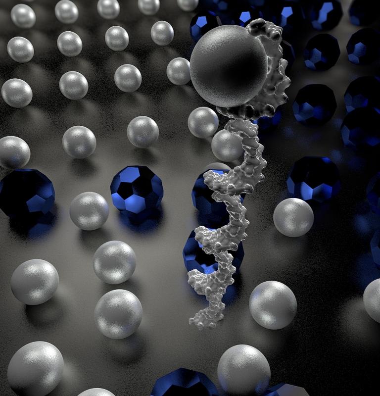 Nanorrobs de DNA controlados instantaneamente com magnetismo