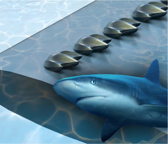 Escamas de tubaro sero usadas em drones, avies e turbinas elicas