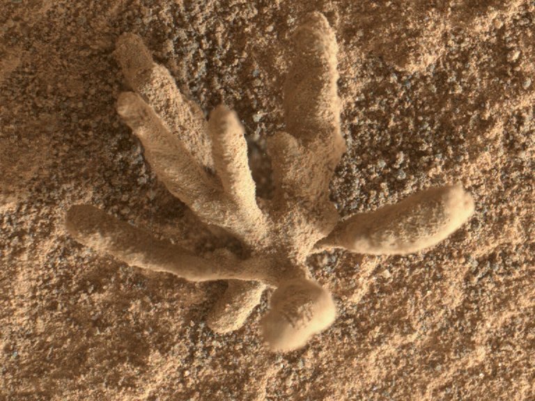 Rocha em formato de flor  encontrada em Marte por rob Curiosity