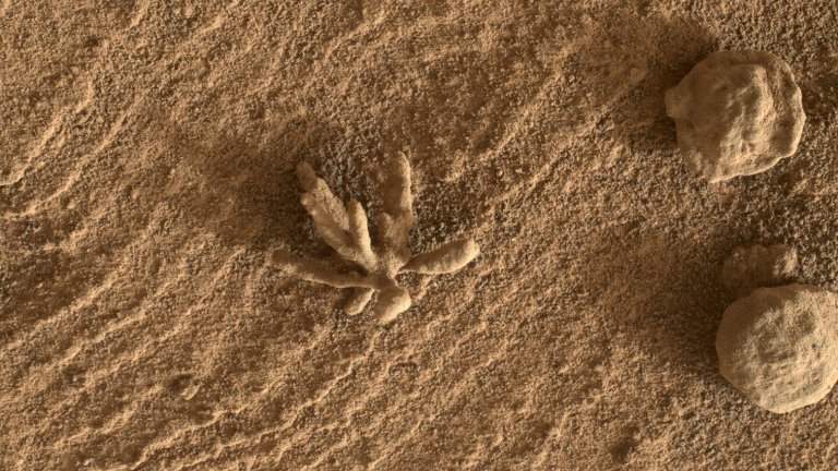 Rocha em formato de flor  encontrada em Marte por rob Curiosity