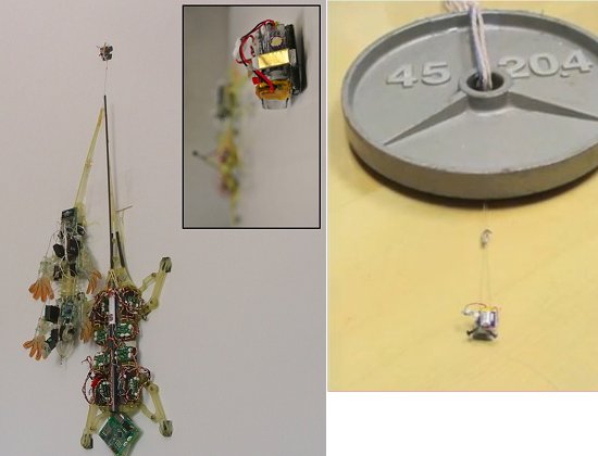 Microrrobs erguem at 100 vezes seu prprio peso