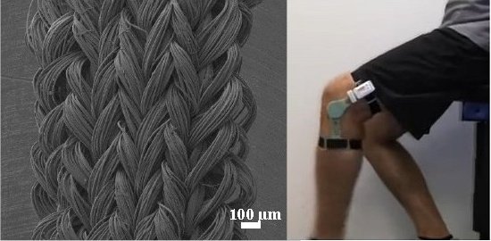 Fibra de nanotubo funciona como msculo eletromecnico