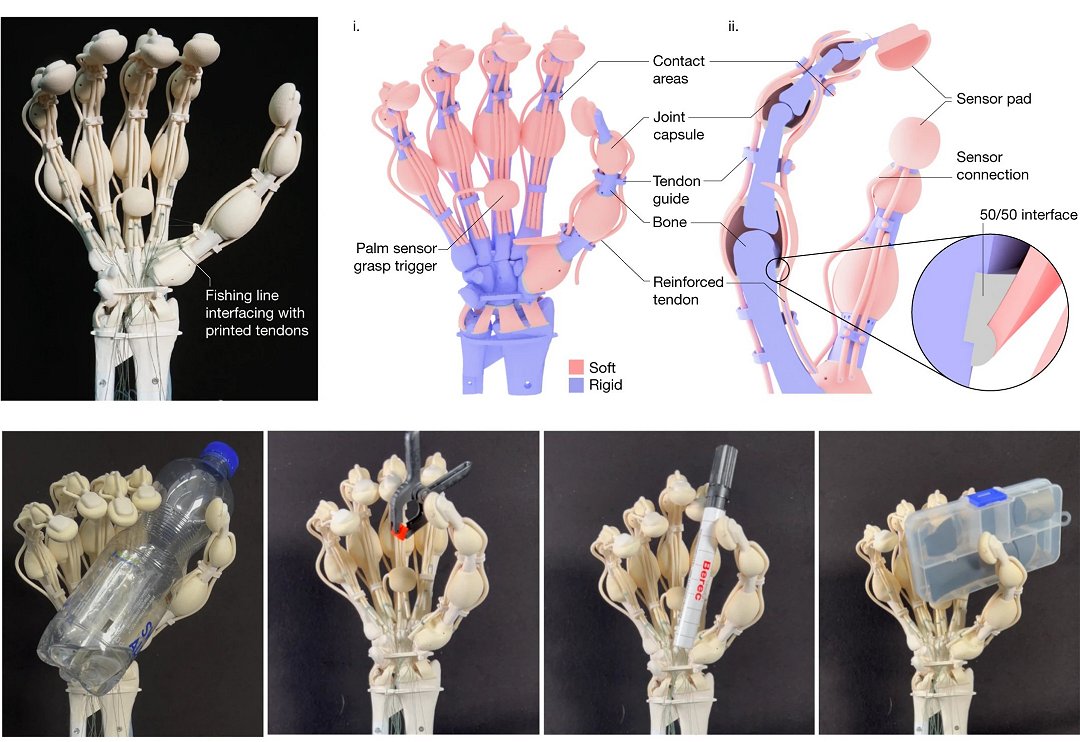 Mo robtica impressa em 3D possui ossos, ligamentos e tendes