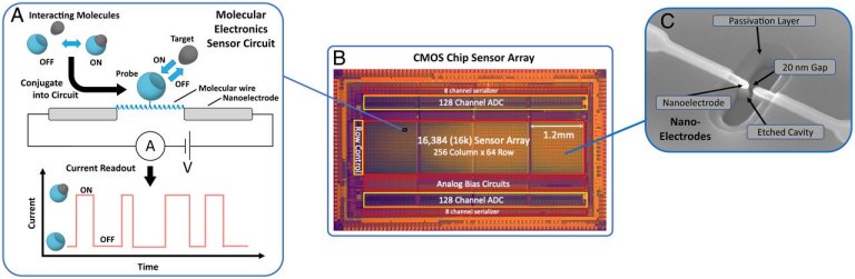 Est pronto o primeiro chip de eletrnica molecular