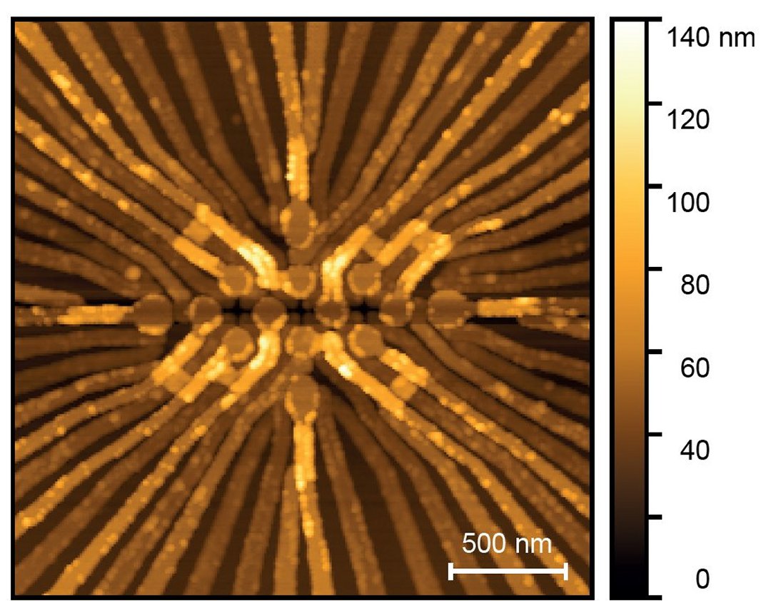 Computao quntica nas Olimpadas: Spins saltitantes e qubits dando cambalhotas