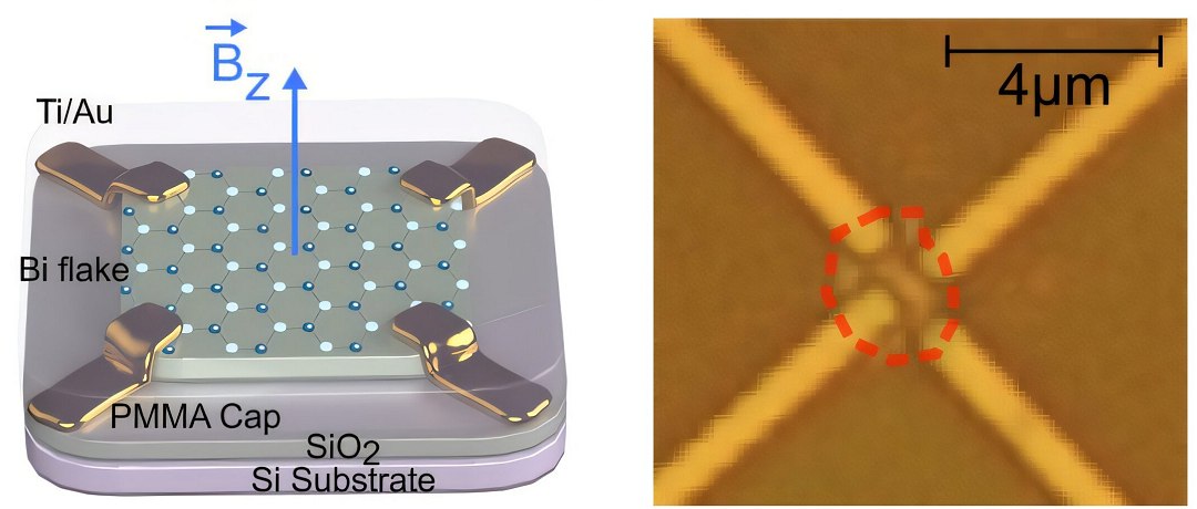 Revolucionrio: Transstor 2D  base de metal supera silcio