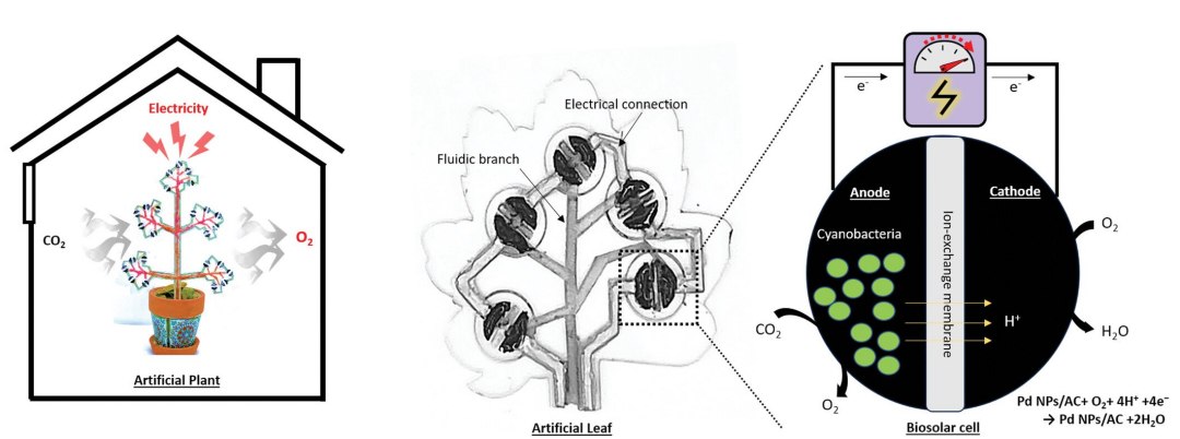 Plantas artificiais purificam o ar do ambiente e geram eletricidade