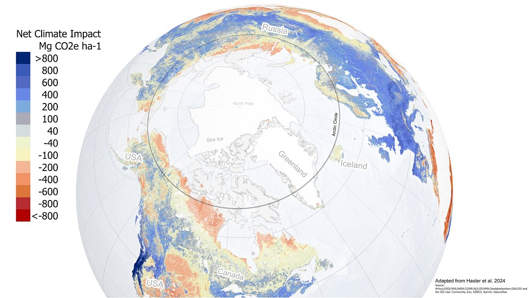 Plantar rvores no rtico pioraria o aquecimento global, dizem cientistas