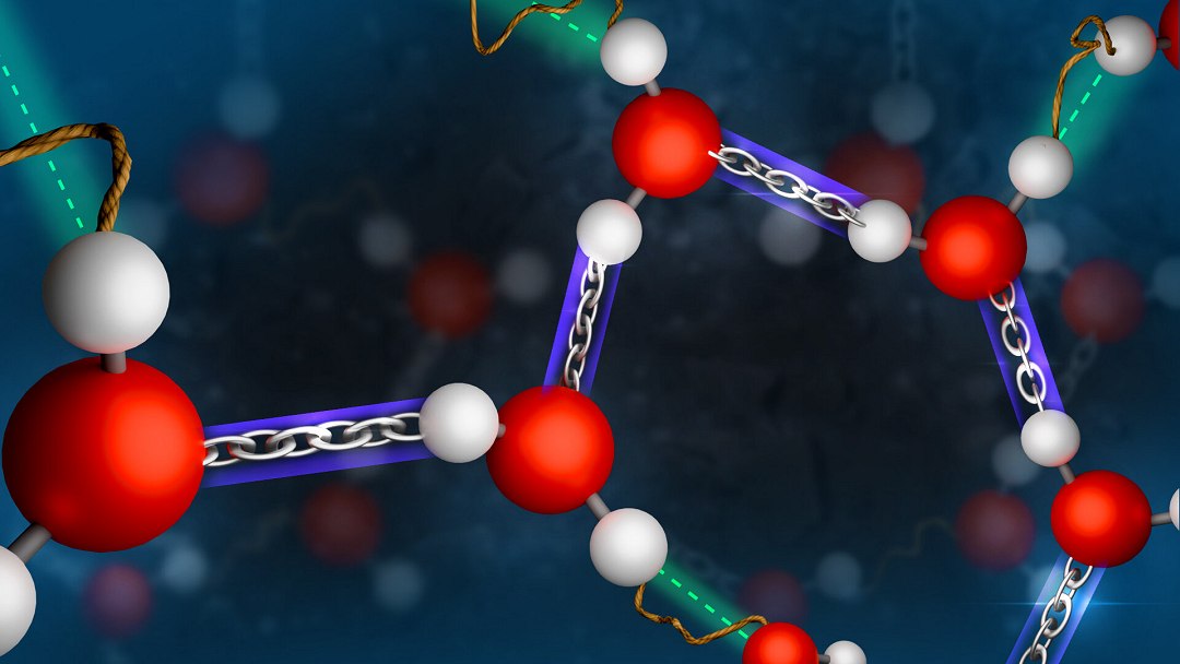 Liquid water molecules are inherently asymmetric: New insight into the bonds between water molecules