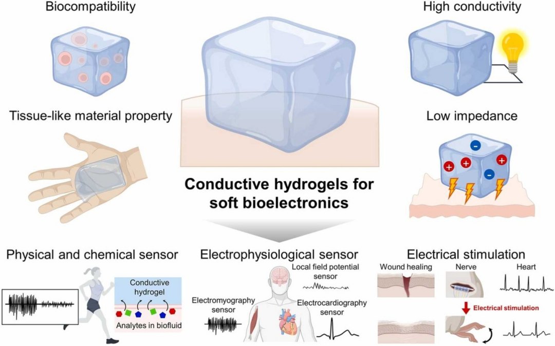 Hidrogis condutores viabilizam fuso da biologia com a eletrnica