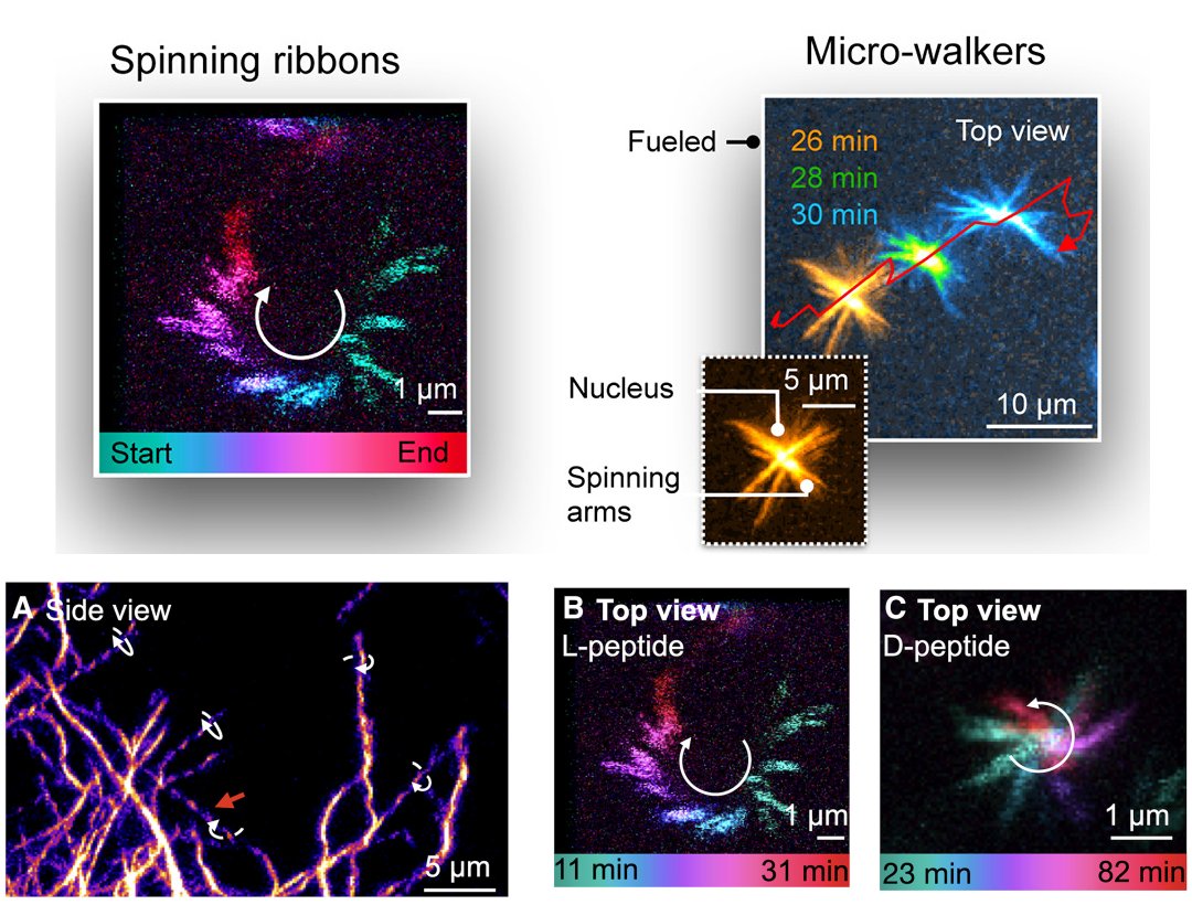 Nanomotor inspirado em bactrias apresenta potncia surpreendente