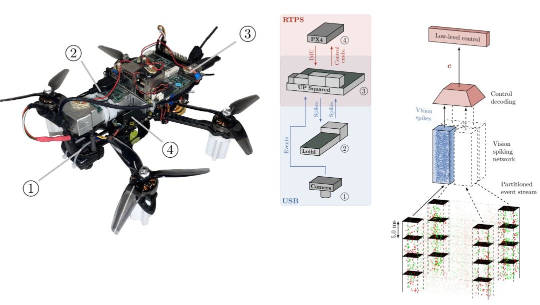 Drone neuromrfico voa sozinho com crebro de inseto
