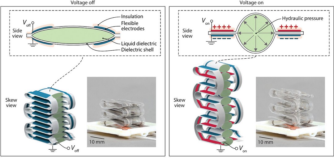 Sensaes tteis sem precedentes so obtidas com msculos artificiais