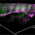 Profundoscpio, o microscpio que promete revolucionar a neurocincia