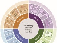 fibras-musculares-artificiais-eletricas-nova-forca-motores-macios